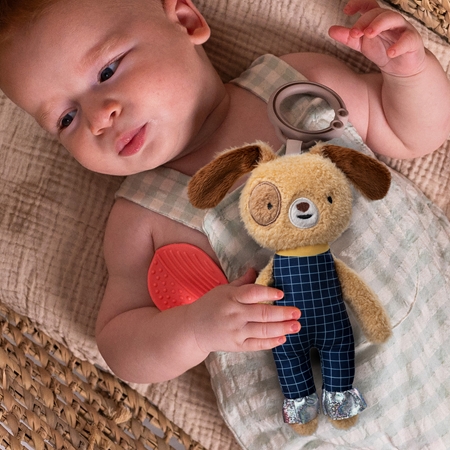 Taf Toys Activity Toy Daniel the Dog jouet contrasté à suspendre avec anneau de dentition
