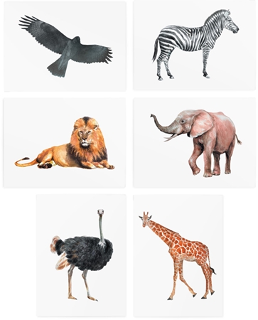 TATTonMe Temporary Tattoos Set Animals tattoo for children