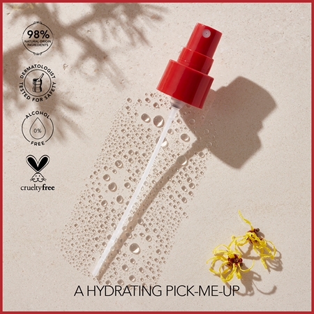 Thayers Unscented Facial MistToner tonizační pleťová mlha bez alkoholu