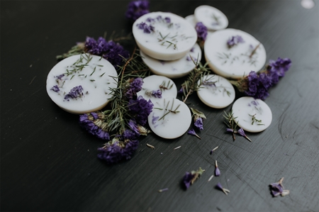 The Munio Juniper & Limonium tartelette en cire