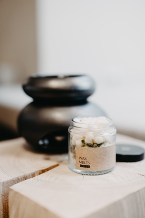 The Munio Moss ceară pentru aromatizator
