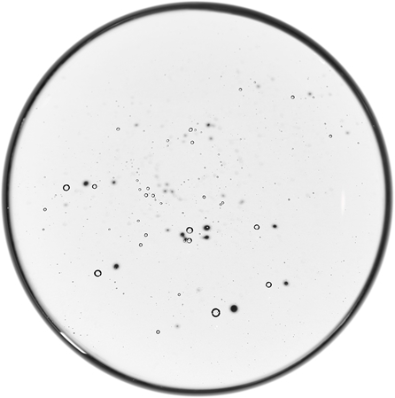 The Ordinary Volufiline 92% + Pal-Isoleucine 1% Concentrated Serum for topical treatment