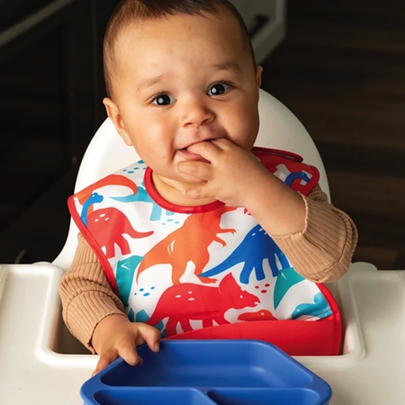 Tiny Twinkle Bib Red Dino babero