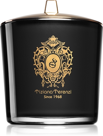 Tiziana Terenzi Ecstasy vela perfumada com pavio de madeira