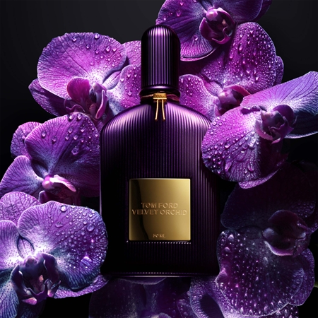 black orchid notino