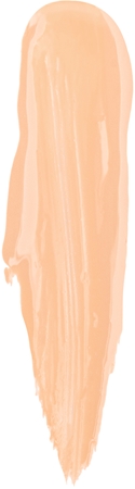 Too Faced Born This Way Ethereal Light Illuminating Smoothing Concealer švytėjimo suteikiantis maskuoklis drėkinamojo poveikio