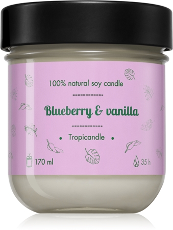 Tropicandle Blueberry & Vanilla scented candle