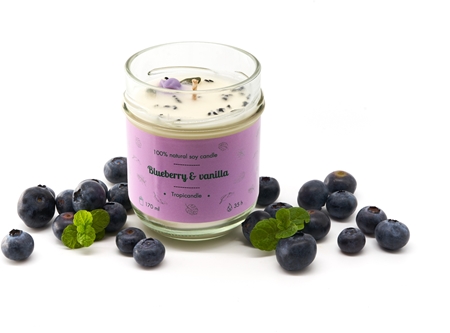 Tropicandle Blueberry & Vanilla scented candle