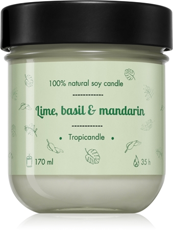 Tropicandle Lime, Basil & Mandarin scented candle