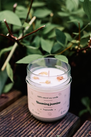 Tropicandle Blooming Jasmine scented candle