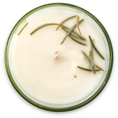 Tropicandle Forest Wood scented candle