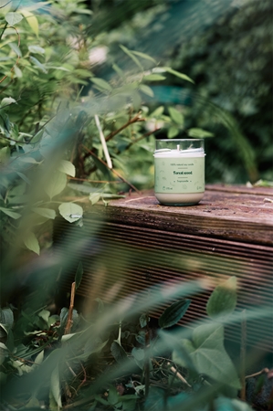 Tropicandle Forest Wood scented candle
