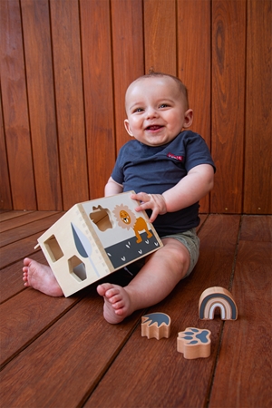 Tryco Wooden Shape Sorter juguete de madera