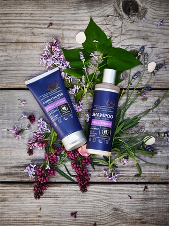 Urtekram Purple Lavender Shampoo für normale bis trockene Haut