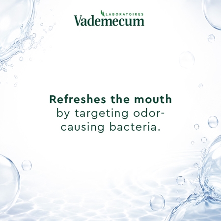 Vademecum 2 in1 Menthol Fresh 2in1 Toothpaste and Mouthwash