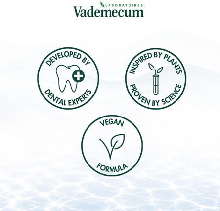 Vademecum 2 in1 Menthol Fresh 2in1 Toothpaste and Mouthwash