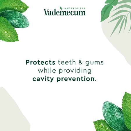 Vademecum BIO Complete Protection dentifrice aux herbes pour un soin dentaire complet