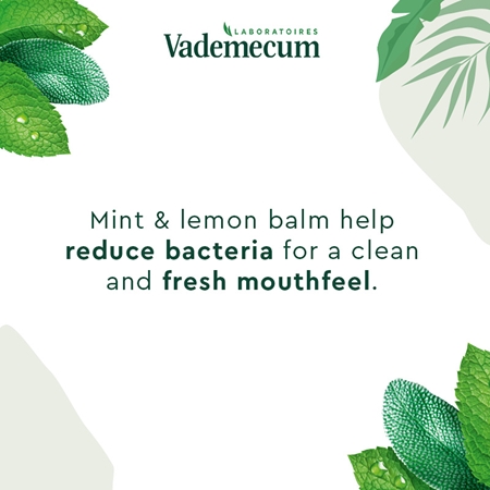 Vademecum BIO Complete Protection dentifrice aux herbes pour un soin dentaire complet