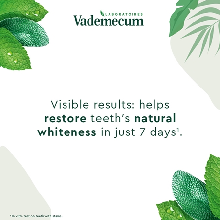 Vademecum BIO Natural Whitening herbal toothpaste with whitening effect