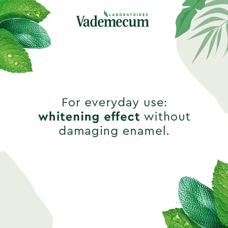 Vademecum BIO Natural Whitening herbal toothpaste with whitening effect