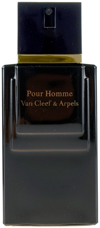 Van Cleef & Arpels Pour Homme eau de toilette voor Mannen 100 ml