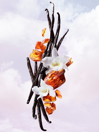Viktor & Rolf Flowerbomb Bloom Eau de Toilette voor Vrouwen