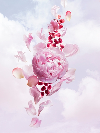 Viktor & Rolf Flowerbomb Bloom Eau de Toilette voor Vrouwen