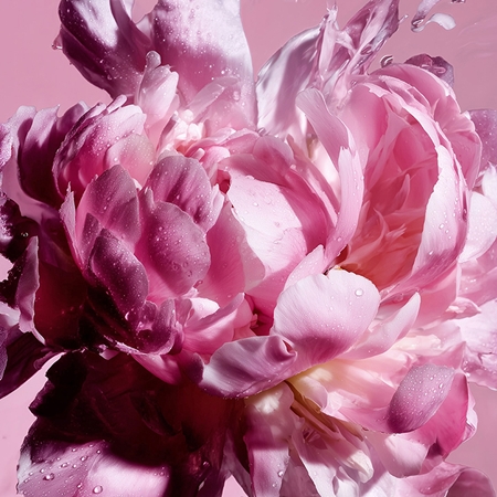 Viktor & Rolf Flowerbomb Pretty Peony eau de parfum for women
