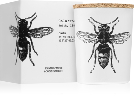 Vila Hermanos Insect Calabrone mirisna svijeća