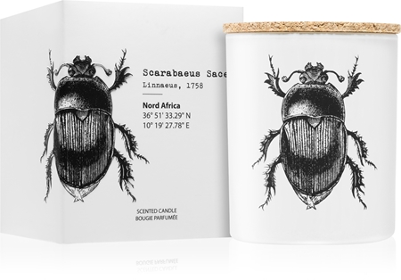 Vila Hermanos Insect Sscarabaeus Sacer vonná sviečka