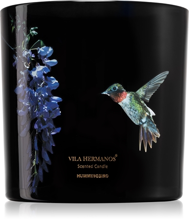 Vila Hermanos Jungletopia Hummingbird Duftkerze
