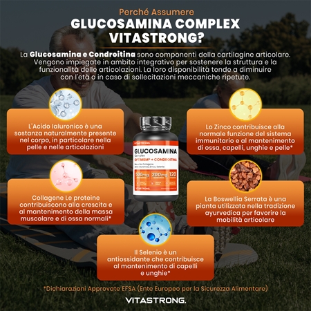 VITASTRONG Glukosamine Coplex compresse per il nutrimento di articolazioni e cartilagini