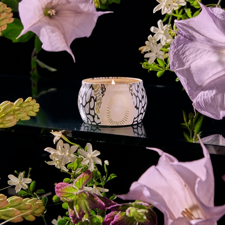 VOLUSPA Japonica Jasmine Midnight Blooms doftljus i tenn