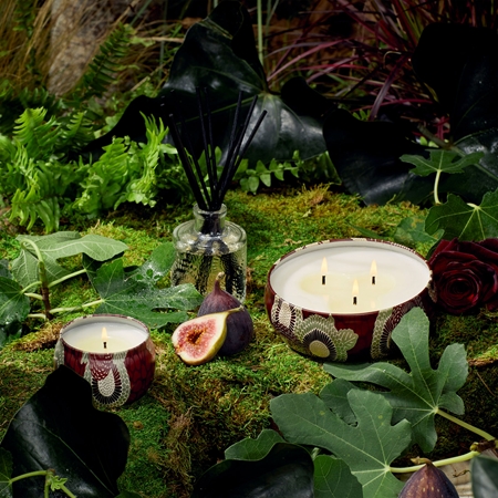 VOLUSPA Japonica Forbidden Fig scented candle