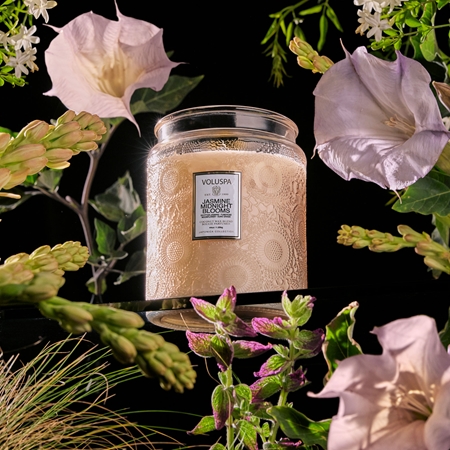 VOLUSPA Japonica Jasmine Midnight Blooms scented candle