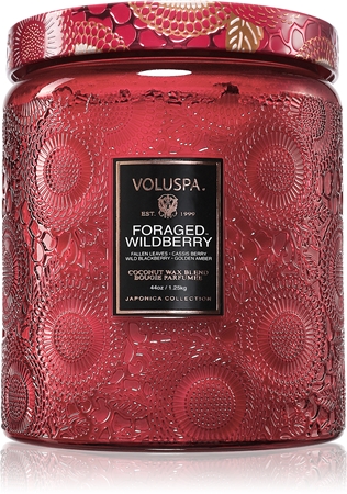 VOLUSPA Japonica Foraged Wildberry vonná svíčka