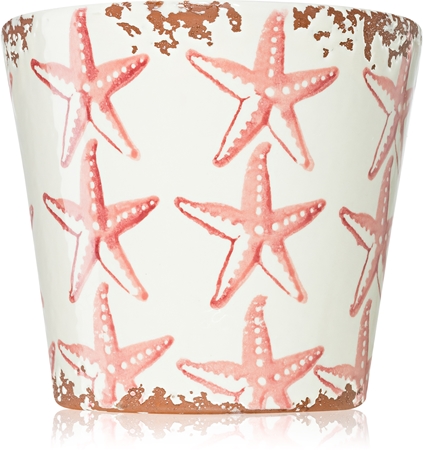 Wax Design Starfish Seabed candela profumata