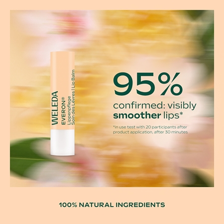 Weleda Winter Must-Have Geschenkset für die Regeneration und Pflege der Haut