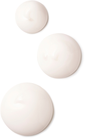 Sintuff Baumpfähle & Stützgurte Set – 12 Pfähle, 12 Seile, 12 Bänder, Verzinkt