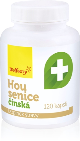 Wolfberry Housenice čínská podpora sportovního výkonu