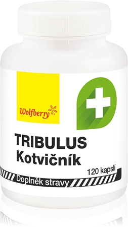 Wolfberry Tribulus terrestris kapsułki na zdrową prostatę i wsparcie potencji