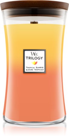 Offerta rivenditore online Woodwick Trilogy candele a clessidra con  stoppino in legno