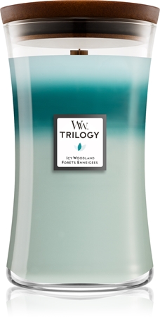 Woodwick Icy Woodland bougie parfumée avec mèche en bois