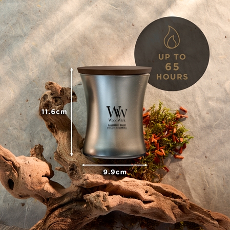 Woodwick Precious Metals Candescent Coast scented candle