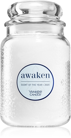 Yankee Candle Awaken candela profumata