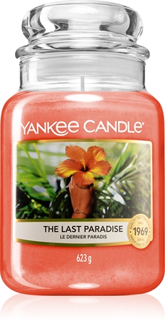 Bougie Yankee Candle The Last Paradise – Petit Pot, Parfum D'ambiance, Cadeau Idéal