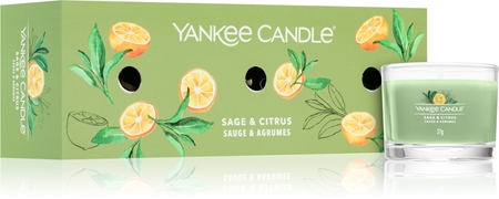 Yankee Candle Duftwachs-Tarts 'Sage & Citrus' – Packung Mit 6 Stück, Erdig-frischer Duft, Für Alle Warmhaltegeräte