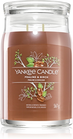 Yankee Candle Praline & Birch vonná svíčka