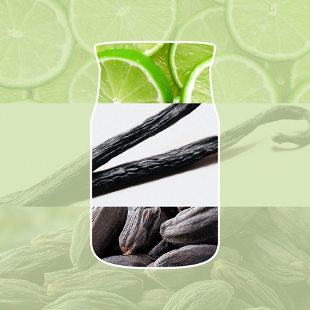 Yankee Candle Vanilla Lime kvapioji žvakė Išskirtinis