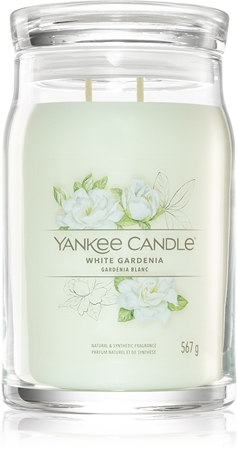 Yankee Candle Duftkerze ‚Clean Cotton‘ – Frischer Wohlgeruch Für Zuhause